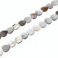Perlas De Concha Del Labio Negro, Nácar, Corazón, Bricolaje & diverso tamaño para la opción, color mixto, Vendido por Sarta