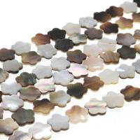 Perlas De Concha Del Labio Negro, Nácar, Flor, Bricolaje & diverso tamaño para la opción, color mixto, Vendido por Sarta