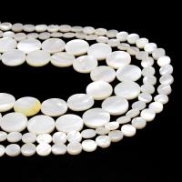 Natural White Shell Beads, Round, DIY white 