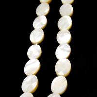 Natural White Shell Beads, Ellipse, DIY, white, 10*15mm 