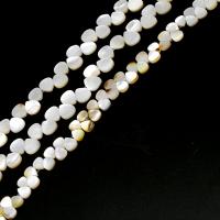 Natural White Shell Beads, Teardrop, DIY white 