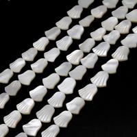 Natural White Shell Beads, Fan, DIY, white, 12*12*2mm 