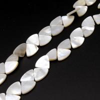 Natural White Shell Beads, Fan, DIY, white, 11*13*2mm 