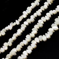 Natural White Shell Beads, Teardrop, DIY white 