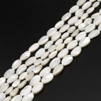 Natural White Shell Beads, Ellipse, DIY, white, 13*18*5mm 