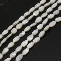 Natural White Shell Beads, Leaf, DIY, white, 8*12*3mm 