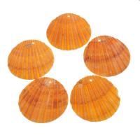Natural Freshwater Shell Pendants, DIY yellow Approx 1mm 