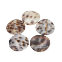 Shell Jewelry Cabochon, Round, DIY, mixed colors, 23mm 