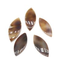 Shell Jewelry Cabochon, Leaf, DIY, mixed colors, 11*4mm Approx 1mm 