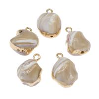 Shell Jewelry Connector, with Brass, Nuggets, plated & DIY 16*14*13mm Approx 1mm 