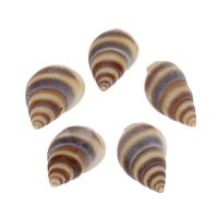 Trompete Shell Messing Anhänger, Trompete Muschel, Strandschnecke, DIY, gemischte Farben, 20*10*8mm, Bohrung:ca. 1mm, ca. 1000PCs/Tasche, verkauft von Tasche