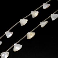 Perles en coquillage blanc naturel, coquille, éventail, DIY, blanc, 11*13*3mm Vendu par sac