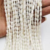 Natural White Shell Beads, Teardrop, polished, DIY, white 