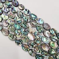 Abalone Shell Beads, Flat Oval, polished, DIY 