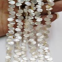 Natural White Shell Beads, Rice, polished, DIY, white Approx 