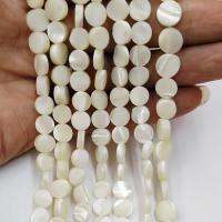 Natural White Shell Beads, Flat Round, polished, DIY, white 