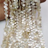 Natural White Shell Beads, Teardrop, polished, DIY 