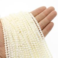 Natural White Shell Beads, Round, polished, DIY white 