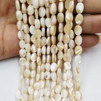 Perles de coquillage jaune naturel, coquille jaune, ovale plat, poli, DIY Vendu par brin