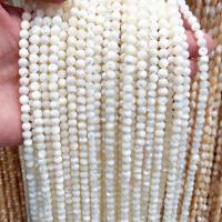Natural White Shell Beads, Natural Stone, Round, polished, DIY, white, 2mm 