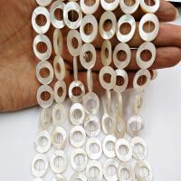 Natural White Shell Beads, Flat Oval, polished, DIY 
