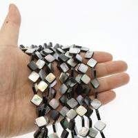 Black Shell Beads, Black Lip Shell, Square, polished, DIY 