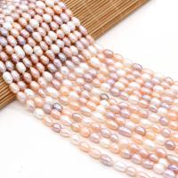 Potato Cultured Freshwater Pearl Beads, Ellipse, polished, DIY mixed colors 