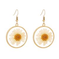 Zinc Alloy Drop Earring, with Resin, gold color plated, for woman 