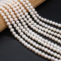 Round Cultured Freshwater Pearl Beads, polished, DIY, white, 7-8mm 