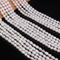 Rice Cultured Freshwater Pearl Beads, Ellipse, polished, DIY white, 5-6mm 