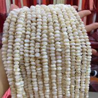 Natural Freshwater Shell Beads, Flat Round, DIY white 