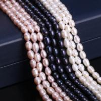 Potato Cultured Freshwater Pearl Beads, Ellipse, polished, DIY 5-6mm 