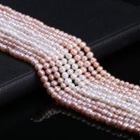 Round Cultured Freshwater Pearl Beads, polished & for woman 5-5.5mm 