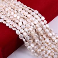 Coin Cultured Freshwater Pearl Beads, Flat Round, polished, DIY, white 