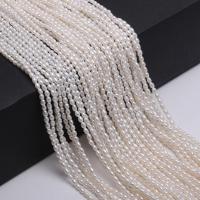 Rice Cultured Freshwater Pearl Beads, polished, DIY, white, 2-2.5mm 