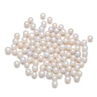 Round Cultured Freshwater Pearl Beads, polished, DIY, white, 6-8MM 
