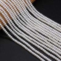 Round Cultured Freshwater Pearl Beads, Flat Round, polished, DIY, white, 3-4mm 