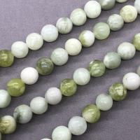 Spotted Serpentine Beads, Round, polished Approx 15 Inch 