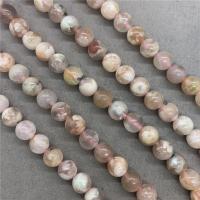 Cherry Stone Beads, Round, polished Approx 15 Inch 