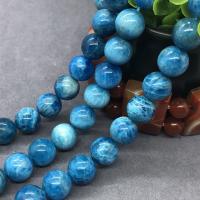 Apatite Beads, Apatites, Round, polished blue, Grade AAAAA Approx 15 Inch 