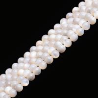 La Perla de Concha Natural, Concha de perla, Esférico, Ungir, Bricolaje & diverso tamaño para la opción, más colores para la opción, longitud:aproximado 39 cm, Vendido por Sarta