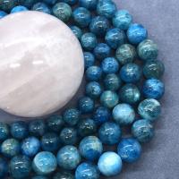 Apatite Beads, Apatites, Round, polished Approx 15 Inch 