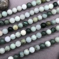 Jadeite Beads, Round, polished yellow Approx 15 Inch 