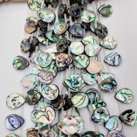 Abalone Shell Beads, Teardrop, polished & DIY 