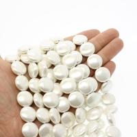 Abalorios de Nácar Blanca Natural, Shell Pearl, Redondo aplanado, Bricolaje, Blanco, 15mm, Vendido por Sarta