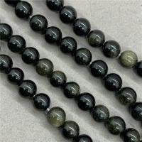 Gold Obsidian Beads, Round, polished Approx 15 Inch 
