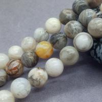Natural Bamboo Agate Beads, Round, polished grey Approx 15 Inch 
