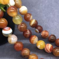 Natural Lace Agate Beads, Round, polished reddish orange Approx 15 Inch 