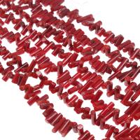 Natural Coral Beads, Column, polished, DIY, red, 5*4mm 