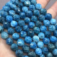 Apatite Beads, Apatites, Round, polished & faceted Approx 15 Inch 